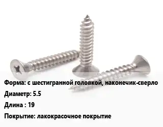 Саморез с шестигранной головкой, наконечик-сверло D=5.5 L=19 лакокрасочное покрытие